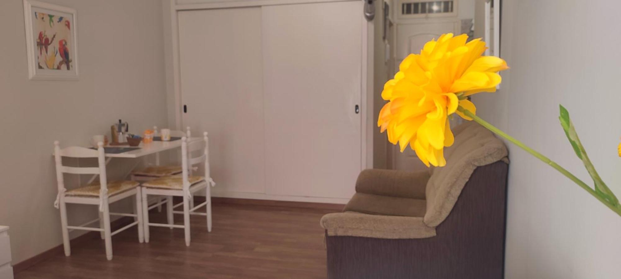 Brisa Del Sol Apartment Puerto de la Cruz  Ngoại thất bức ảnh